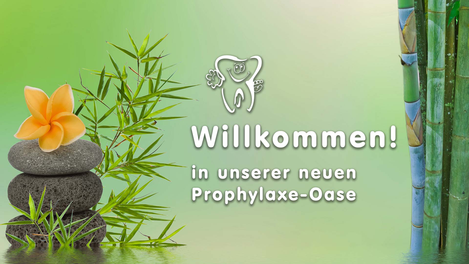 Willkommen in unserer Prophylaxe-Oase